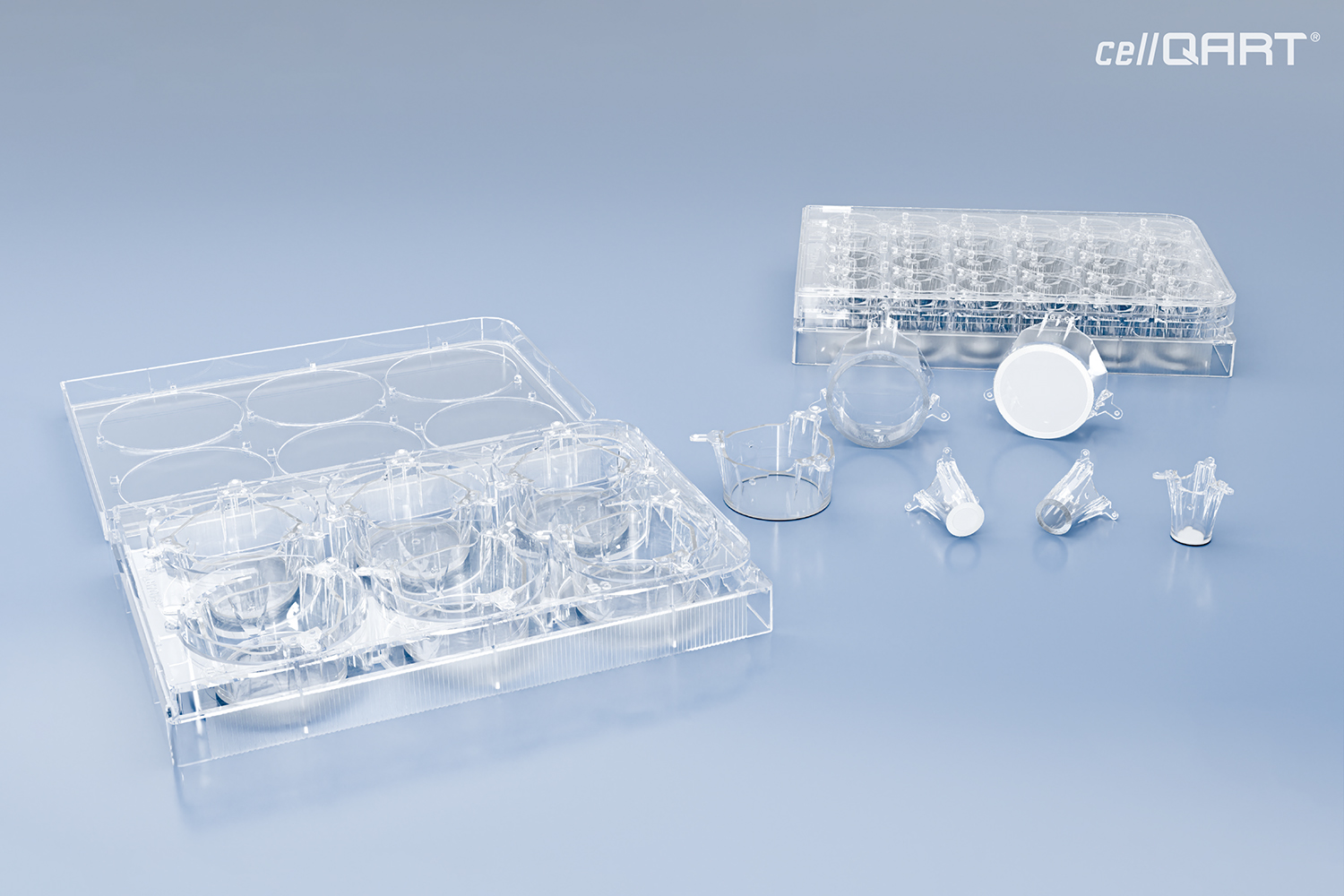 6-Well Plate 1.0 µm PET translucent (FP)