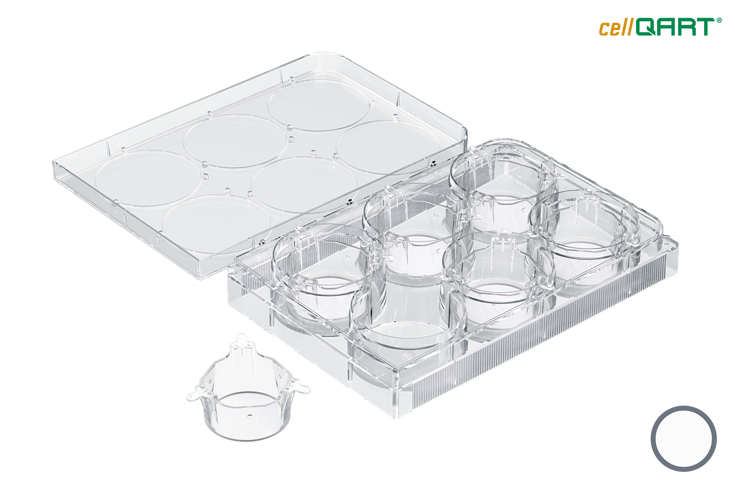 6-Well Plate 1.0 µm PET translucent (FP)