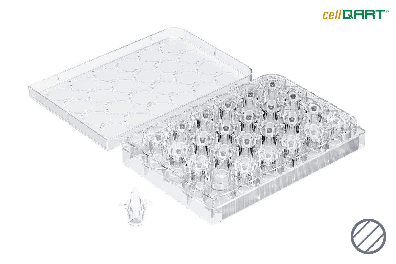 24-Well Plate 1.0 µm PET clear (FP)