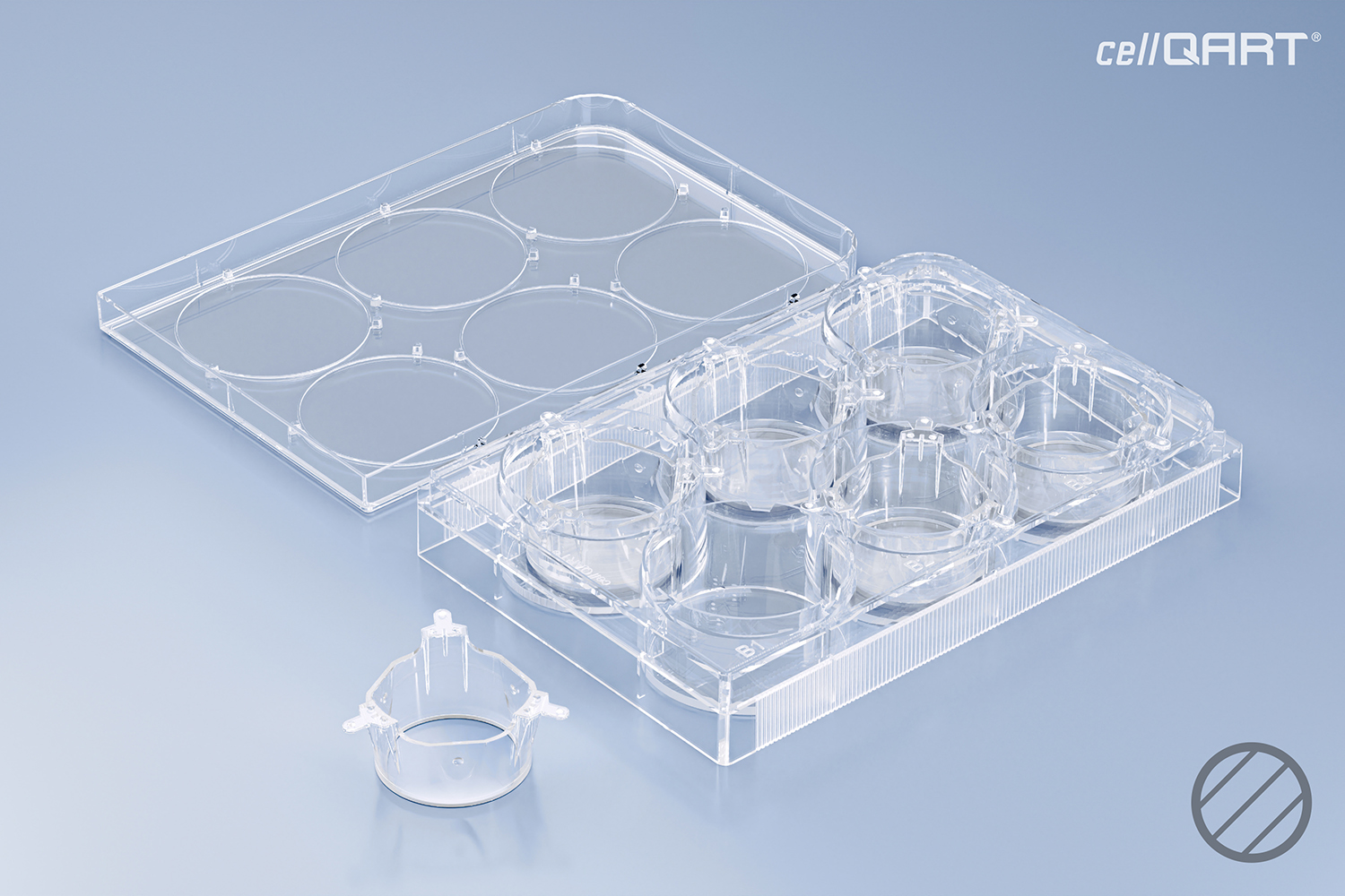 6-Well Plate 1.0 µm PET clear (FP)