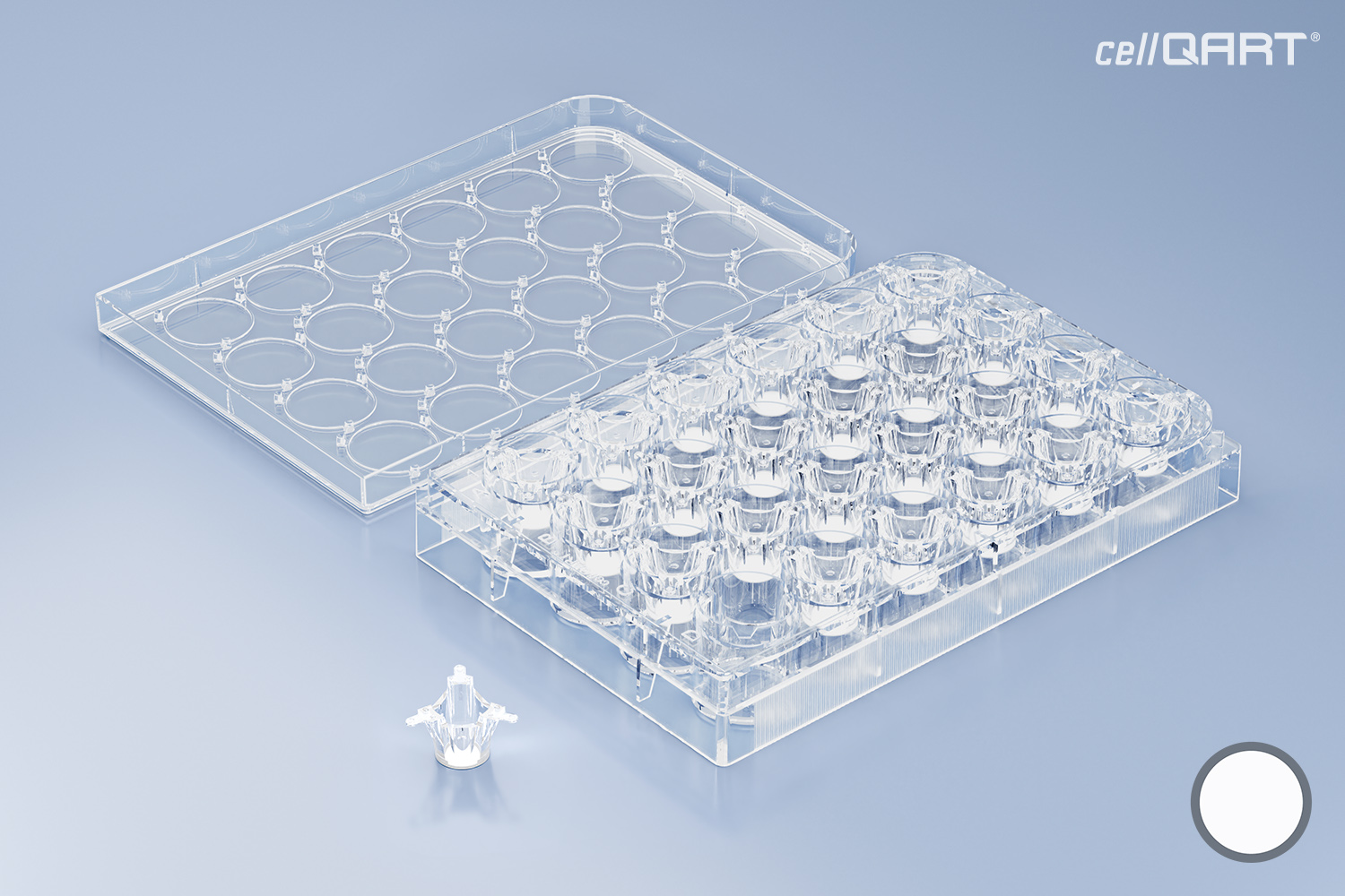 24-Well Plate 0.4 µm PET translucent (0.5 cm² Flat Insert/FP/96 Inserts per box)