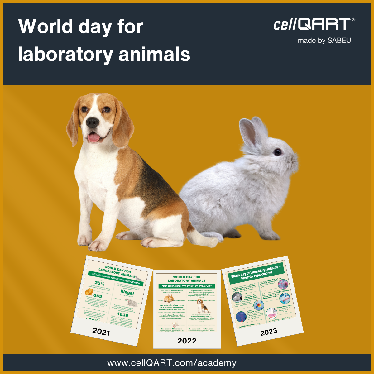 World Day For Laboratory Animals 2024